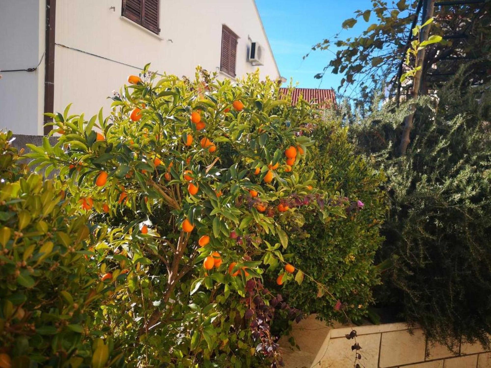 City Apartments Lani Ντουμπρόβνικ Εξωτερικό φωτογραφία